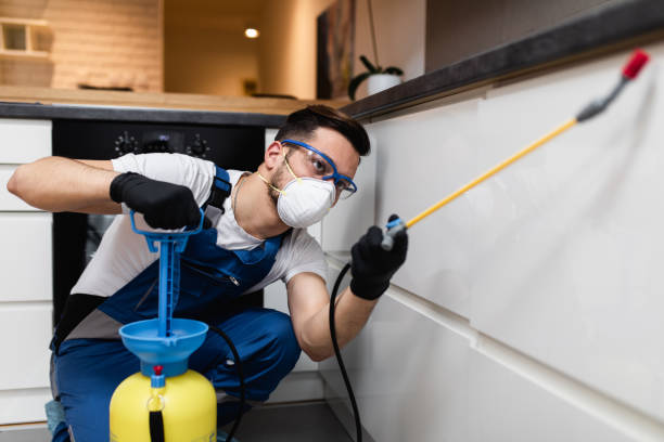 Best Mosquito Control Services  in Beggs, OK