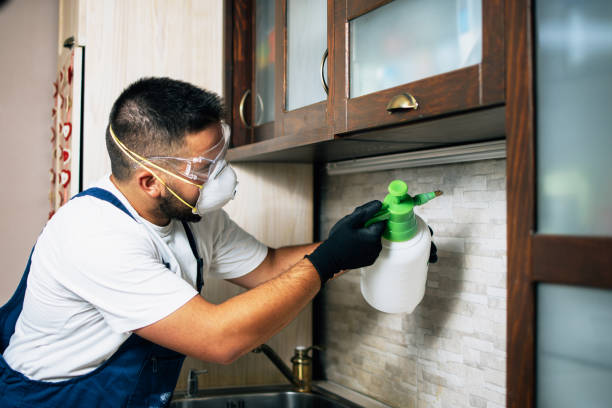 Best Commercial Pest Control Services  in Beggs, OK
