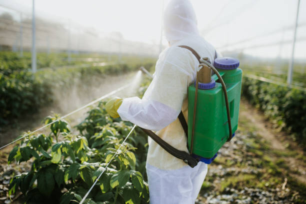 Best Mosquito Control Services  in Beggs, OK